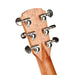 Cole Clark SAN1EC-RR Studio Series Acoustic-Electric Guitar - All Rosewood