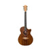 Cole Clark Thinline Cutaway Acoustic/Electric Guitar - All Blackwood, Rosewood Fingerboard