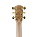 Cole Clark TL2EC All Blackwood HSS