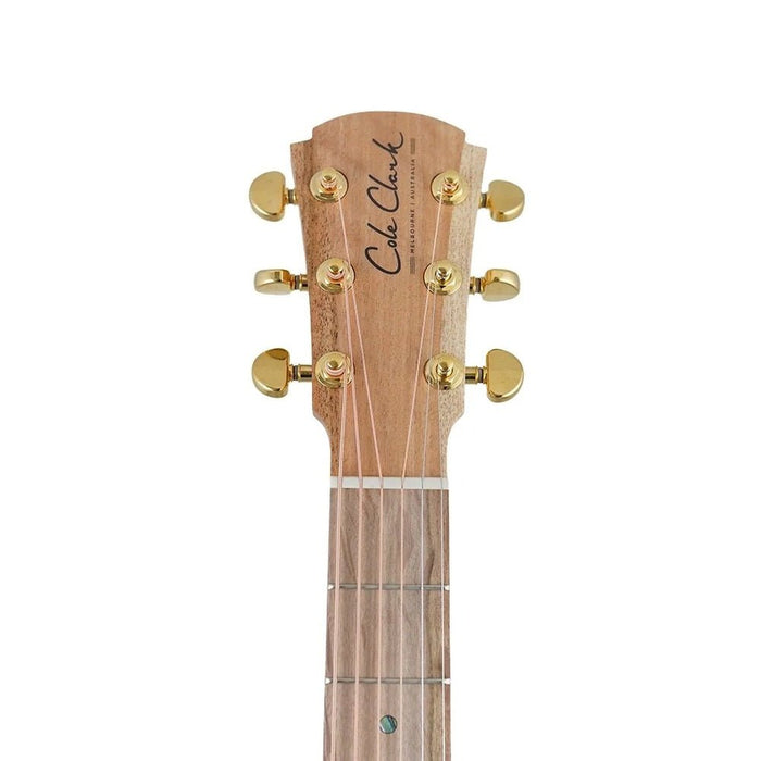 Cole Clark TL2EC All Blackwood HSS