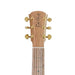 Cole Clark TL2EC All Blackwood HSS