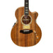 Cole Clark TL3EC All Blackwood Humbucker 15984 - Natural