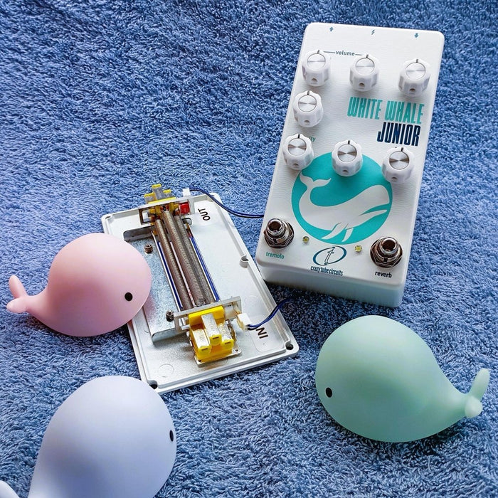 Crazy Tube Circuits White Whale JUNIOR Real Spring Reverb & Analog Tremolo (PRE-ORDER, ships Early July) (CTC-WW-Junior) - Gsus4