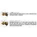 D'Addario American Stage Instrument Cable (10ft) (PW-AMSG-10) - Gsus4