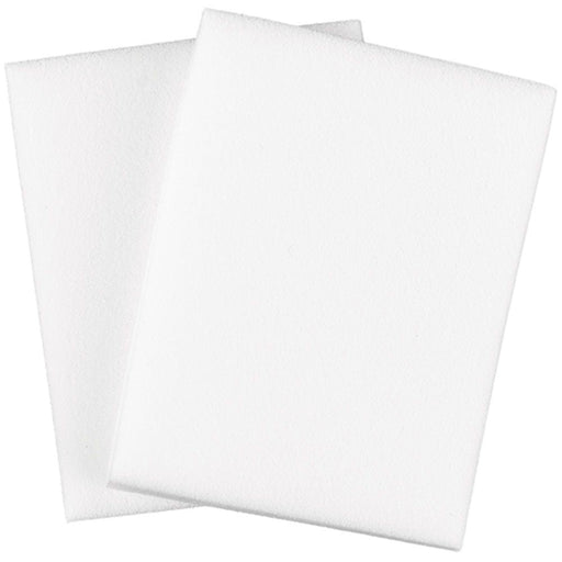 D'Addario GHP - RS Acoustic Guitar Humidifier Pro Replacement Sponges 2 - Pack (GHP-RS) - Gsus4