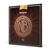 D'Addario NB1256 Nickel Bronze Acoustic Guitar Strings Light Top, Medium Bottom 12 - 56 (NB1256) - Gsus4