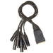D'Addario PW - XLRMB - 01 8 - Ch XLR Male to Female DB25 Modular Snake System Breakout (PW-XLRMB-01) - Gsus4