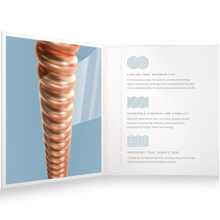 D'Addario XS Mandolin Phosohor Bronze (Light) 10 - 38 (XSM1038) - Gsus4