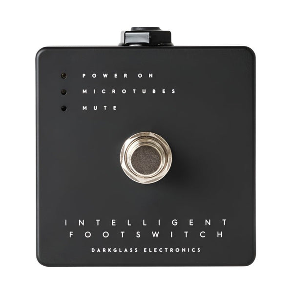 Darkglass Microtubes 500 v1 フットスイッチ＋ケース Darkglass Intelligent Footswitch for Microtubes 500 & Microtubes