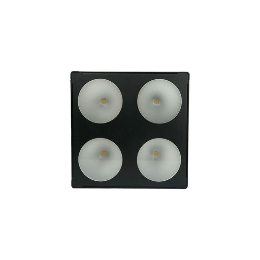Event Lighting PANX22 LED COB Pixel Panel w/ 2 x 2 40w RGB+VW LEDs (PANX22) - Gsus4