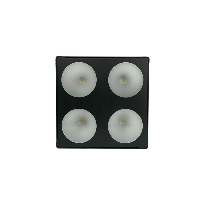 Event Lighting PANX22 LED COB Pixel Panel w/ 2 x 2 40w RGB+VW LEDs (PANX22) - Gsus4