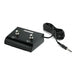 Fishman Dual Foot Switch for Loudbox Amps (F00076) - Gsus4