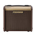 Fishman Loudbox Micro 40W Acoustic Combo Amp (F00057) - Gsus4