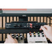 Franklin Audio RA-200 Stereo Re-Amp and Return
