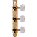 Gotoh 40G2000 Classical Guitar Tuning Machines on Decorative Plate in Gold Finish (3+3) (A40G2000EW) - Gsus4