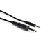 Hosa CMP-110 1/4" TS to 3.5mm mm TRS Cable, 10ft (HOS-CMP110) - Gsus4