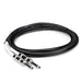 Hosa GTR-210 TS Straight to Same Guitar Cable (10ft) (HOS-GTR210) - Gsus4