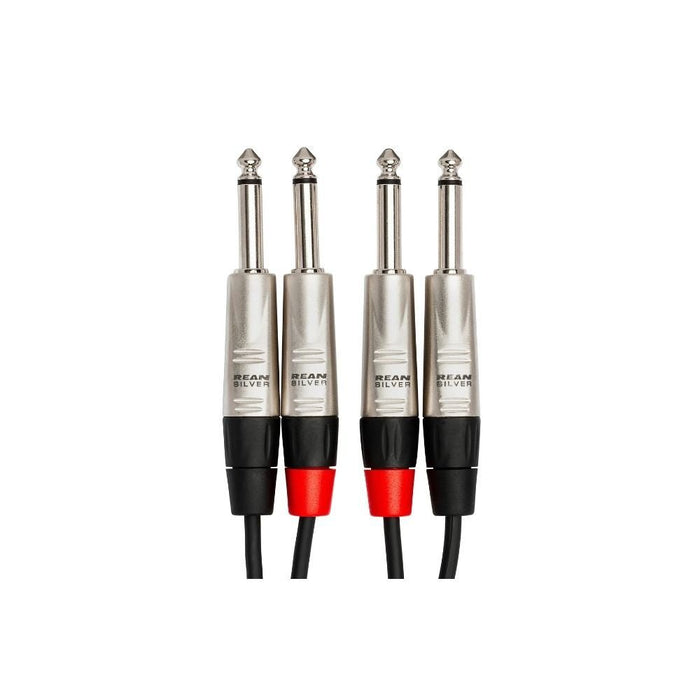 Hosa HPP005X2 Pro Stereo Interconnect Dual REAN 1/4 in TS to Same (5 ft) (HOS-HPP005X2) - Gsus4