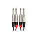 Hosa HPP005X2 Pro Stereo Interconnect Dual REAN 1/4 in TS to Same (5 ft) (HOS-HPP005X2) - Gsus4