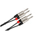 Hosa HPP005X2 Pro Stereo Interconnect Dual REAN 1/4 in TS to Same (5 ft) (HOS-HPP005X2) - Gsus4