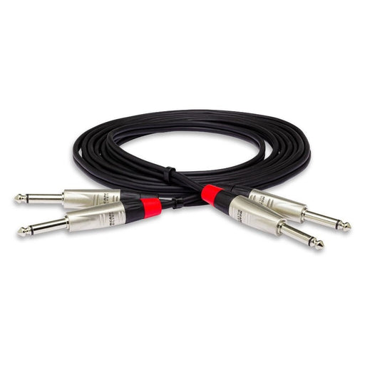 Hosa HPP020X2 Pro Stereo Interconnect Dual REAN 1/4 in TS to Same (20 ft) (HOS-HPP020X2) - Gsus4