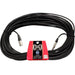 Hosa HSX100 Pro Balanced Interconnect REAN 1/4 in TRS to XLR3M (100 ft) (HOS-HSX100) - Gsus4