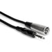 Hosa STX-102M 1/4" TRS to XLR(M) Balanced Interconnect Cable (2ft) (HOS-STX102M) - Gsus4