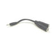 Hosa YMP-233 3.5mm TRS(M) to Dual 1/4 in TRS(F) Y-Cable Adaptor (HOS-YMP-233) - Gsus4
