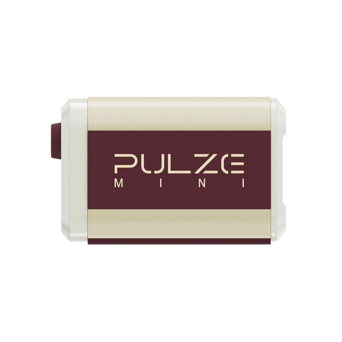 Hotone | PULZE MINI | Battery Powered Portable Modelling Guitar Amplifier w/ Celestion IRs (HT - PULZE - MINI) - Gsus4