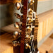 James Tyler | JTG - M1 | Versatile HH Powerhouse | Egyptian Gold (JTG-M1-Egyptian-Gold) - Gsus4