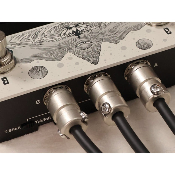 Klowra | ANIMUS | Horizontal | Universal Dual Momentary Footswitch | w/ TRS Map Toggle Switch (Klowra-Animus-Horizontal) - Gsus4