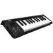 Korg MicroKey-25 USB MIDI Keyboard Controller (Korg-MicroKey-25) - Gsus4