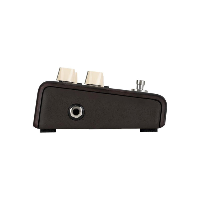 LR Baggs Align Series | DELAY | Voiced for Acoustic Instruments (LRBALIGNDELAY) - Gsus4
