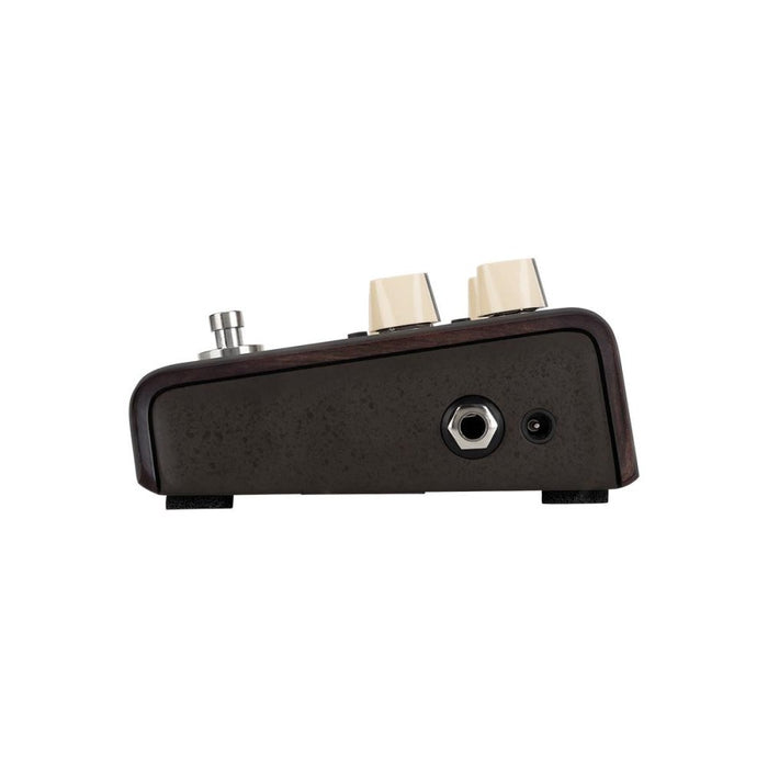LR Baggs Align Series | DELAY | Voiced for Acoustic Instruments (LRBALIGNDELAY) - Gsus4