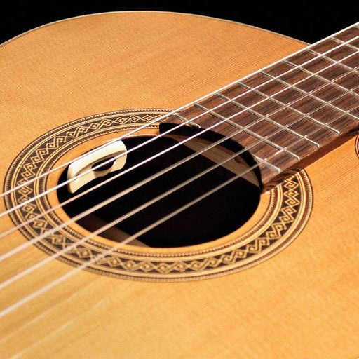 LR Baggs | Anthem SL Classical | Acoustic Guitar Pickup w/ TRU MIC System (LRBANTHSL - C) - Gsus4