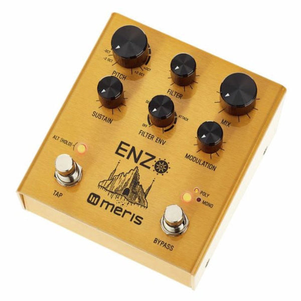 MERIS Enzo Multi-Voice Instrument Synthesizer Pedal - Gsus4