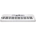 NUX NEK-110 Portable 61-Note Keyboard in White (NXNEK110) - Gsus4