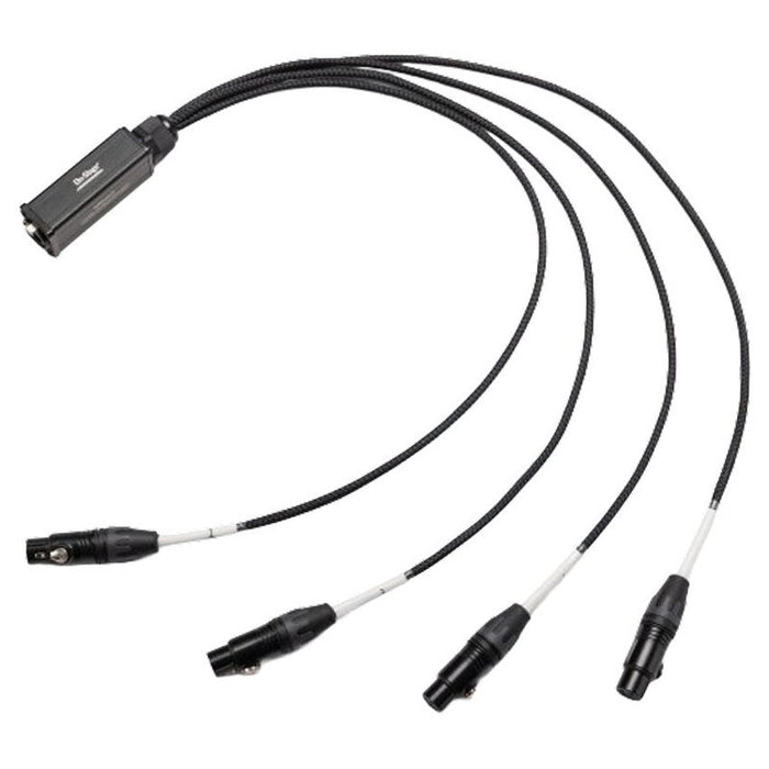 On Stage Production Grade 4-Channel Signal Snake Cable (4 x XLR Female - RJ45) (OSSNK4CF) - Gsus4