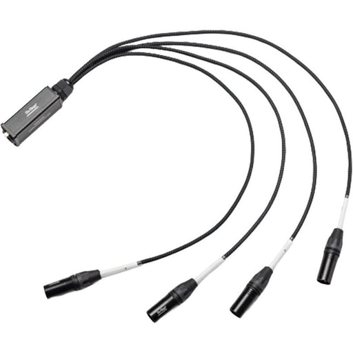 On Stage Production Grade 4-Channel Signal Snake Cable (4 x XLR Male - RJ45) (OSSNK4CM) - Gsus4