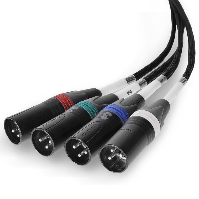 Palmer | AOCLXLRM | AoC Loom XLRm | Audio Over CAT Loom | From Ethercon To 4 XLR Male (PAL - PAOCLXLRM) - Gsus4