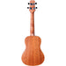 Peavey Delta Woods Series Composer Concert Ukulele in Natural Matte Finish (PVDWCU1) - Gsus4