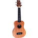 Peavey Delta Woods Series Student Soprano Ukulele in Natural Matte Finish (PVDWSU1) - Gsus4