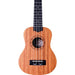Peavey Delta Woods Series Student Soprano Ukulele in Natural Matte Finish (PVDWSU1) - Gsus4
