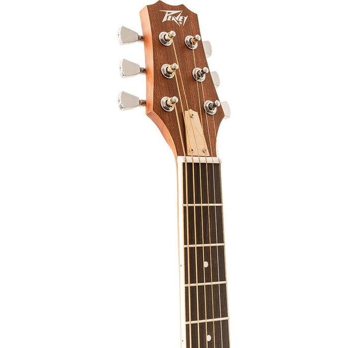 Peavey DW1 Delta Woods Series Dreadnought Acoustic Guitar (PVDW1) - Gsus4