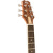 Peavey DW1 Delta Woods Series Dreadnought Acoustic Guitar (PVDW1) - Gsus4