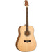 Peavey DW1 Delta Woods Series Dreadnought Acoustic Guitar (PVDW1) - Gsus4
