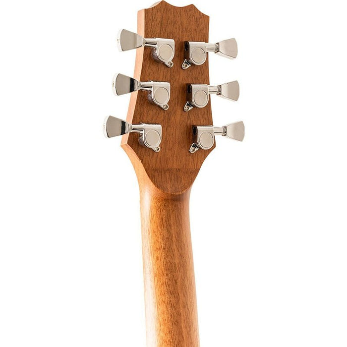 Peavey DW1 Delta Woods Series Dreadnought Acoustic Guitar (PVDW1) - Gsus4