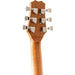 Peavey DW1 Delta Woods Series Dreadnought Acoustic Guitar (PVDW1) - Gsus4