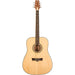 Peavey DW1 Delta Woods Series Dreadnought Acoustic Guitar (PVDW1) - Gsus4