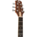 Peavey DW2 Delta Woods Series Dreadnought AC/EL Guitar with Cutaway (PVDW2SCE) - Gsus4